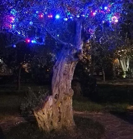 Al Vecchio Pozzo *