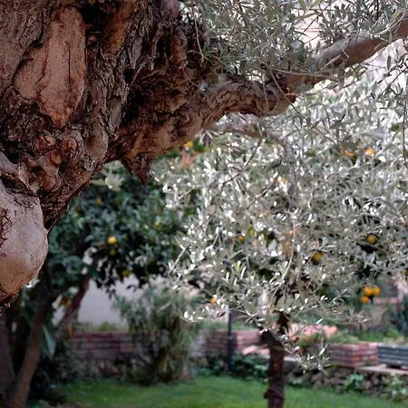 Apartamento Al Vecchio Pozzo